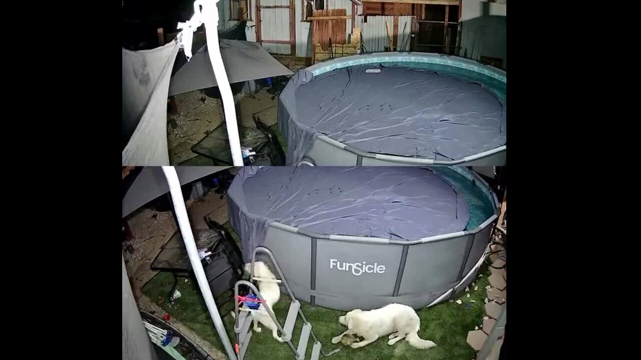 Late night pool party.....LOL