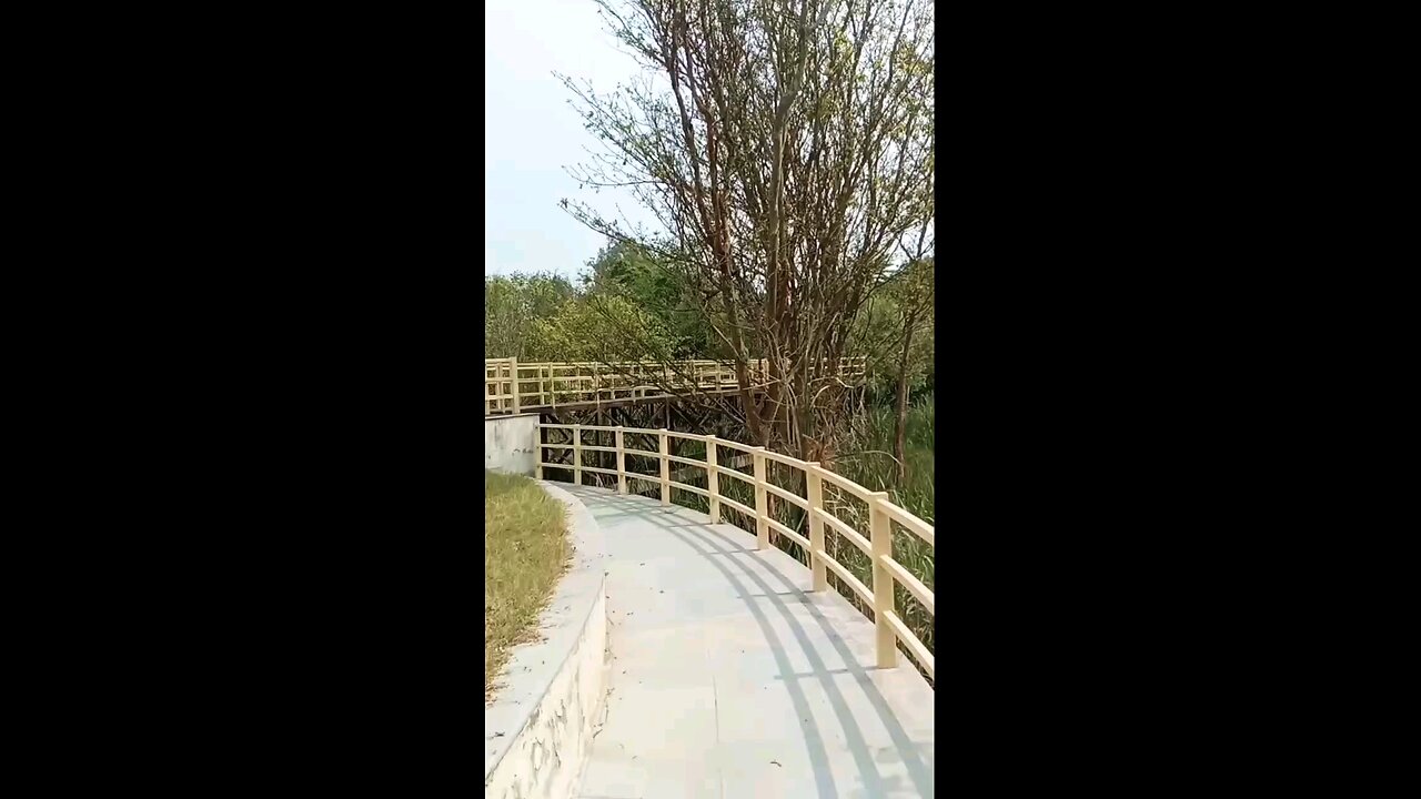 satisfying Video