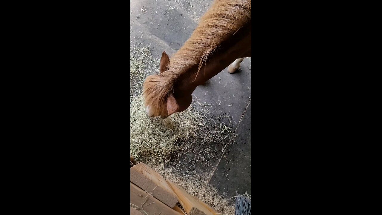 Eat it