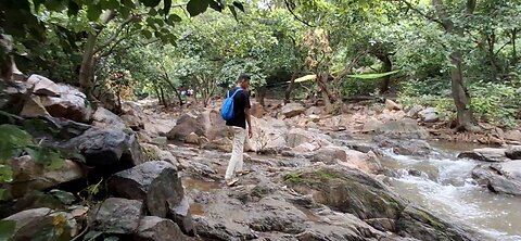 Travel with nature