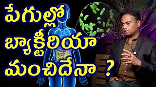 పేగుల్లో బాక్టీరియా మంచిదేనా? Is Gut Bacteria good for human Health? Homeopathy Tips Medicine Cure