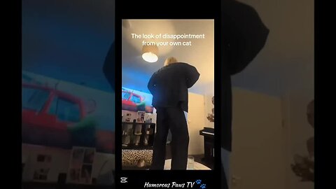 Warning: This Video Will Make You Laugh Non-Stop!