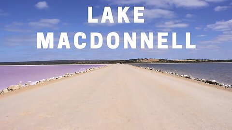 Driving on a Beautiful Pink Lake - Lake MacDonnell