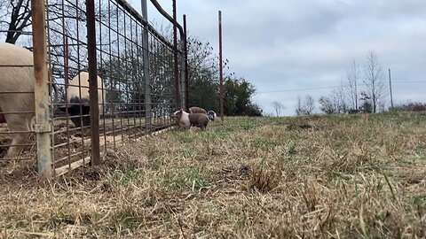 I’m looking at you.