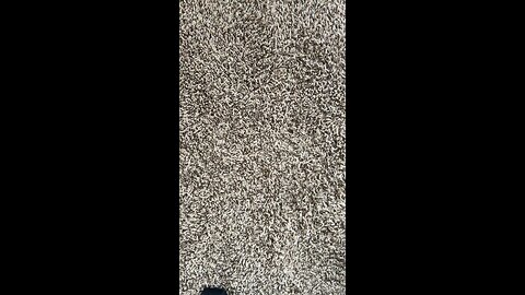 Test 501