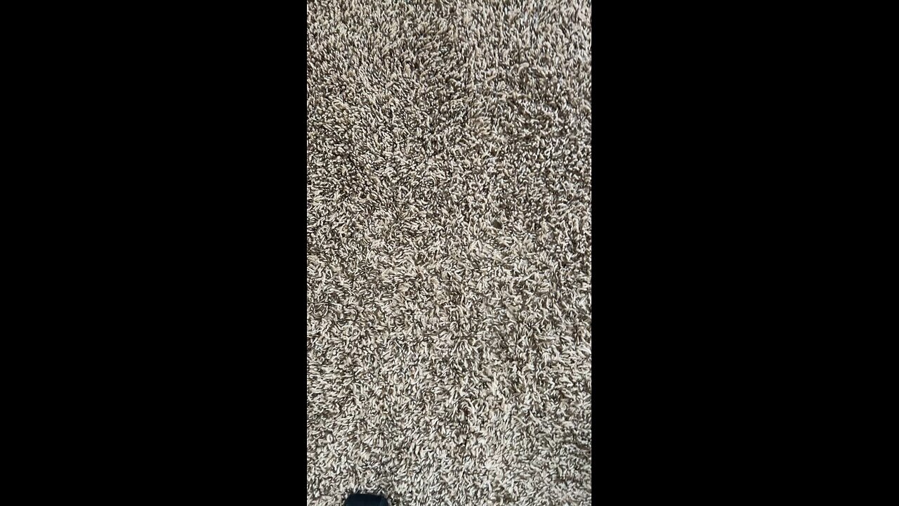 Test 501