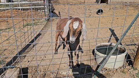 Graham Family Farm NW: 9:40 AM August 14 2025