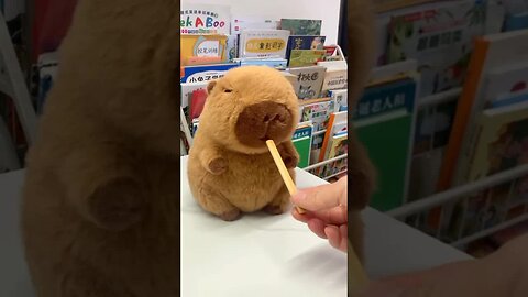 Capybara