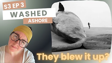 Washed Ashore