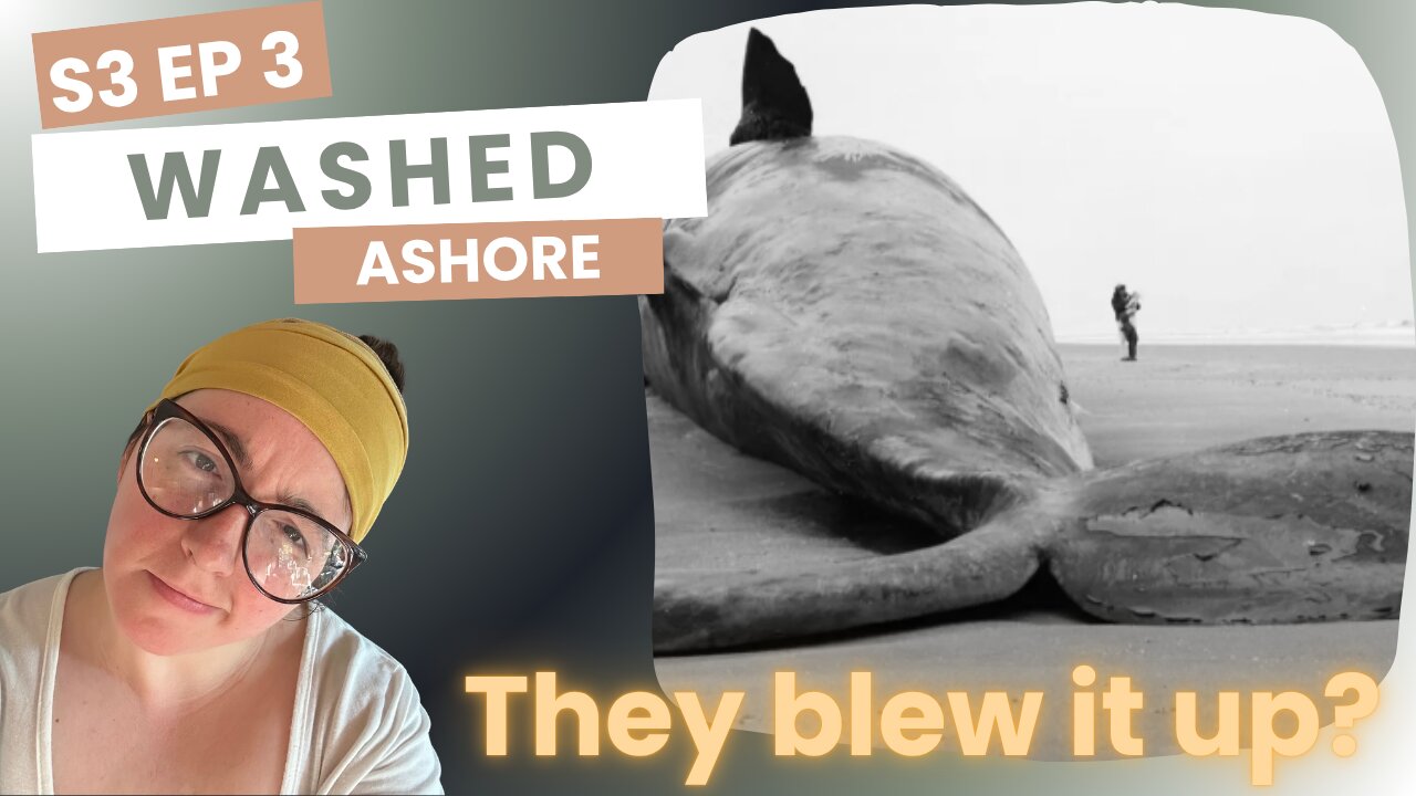 Washed Ashore