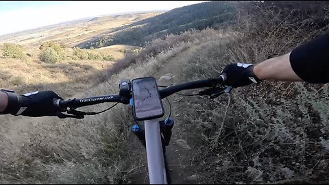 Shorthorn | White Ranch | Golden | Colorado
