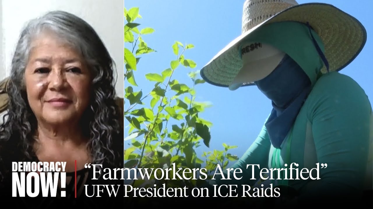 "Farmworkers Are Terrified Right Now": ICE Operations Terrorize Immigrant Workers, Shatter Families