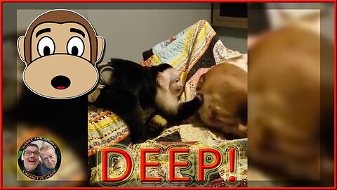 G&A 060 - Dr. Monkey, Animal Proctologist