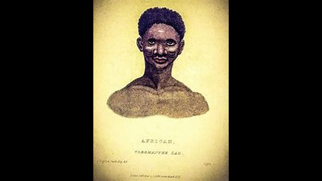 Who are the Negroes of America Part1