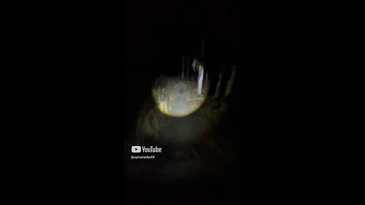 Skinwalkers in Alaska
