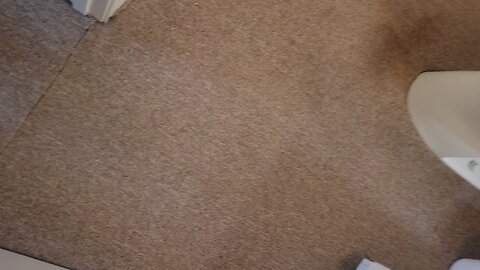 carpet removal