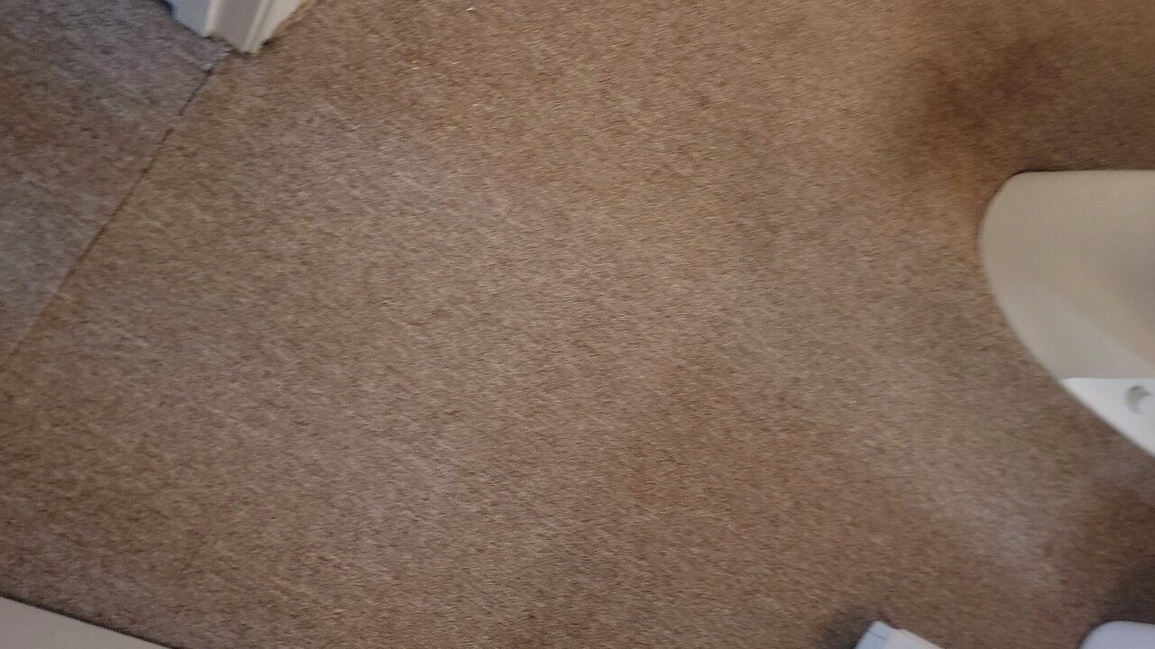 carpet removal