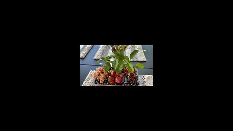 Цените жизнь пока живется