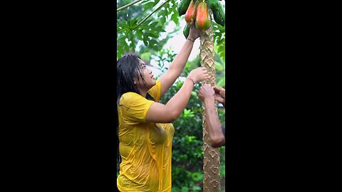 papaya