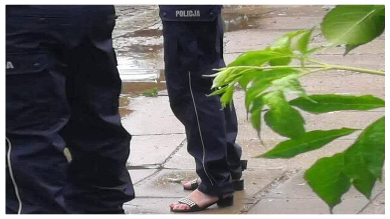 Dziórawce. [Black-Pill-PL]