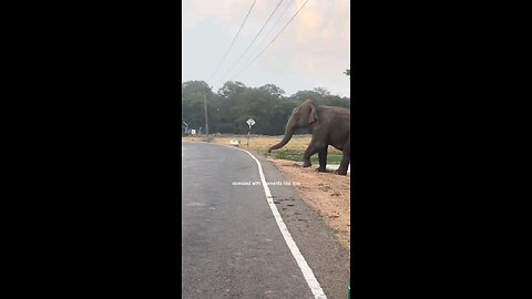 Welcome to Sri Lanka 🇱🇰