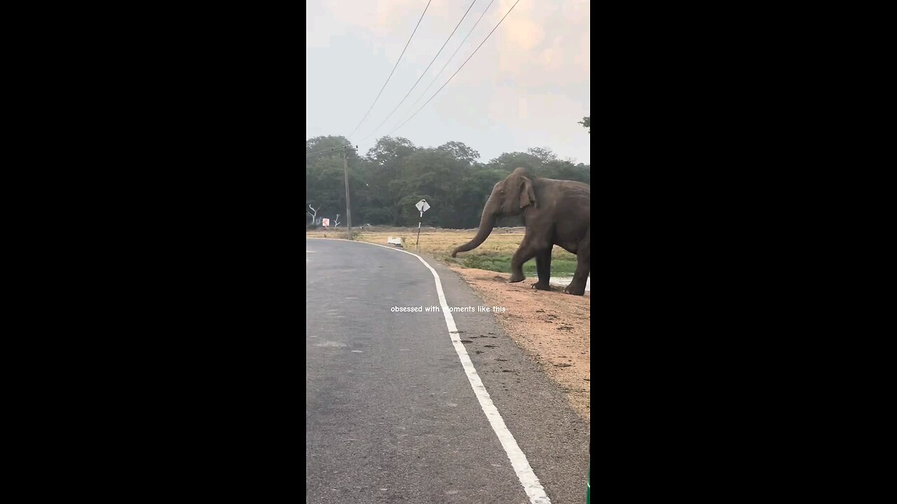 Welcome to Sri Lanka 🇱🇰