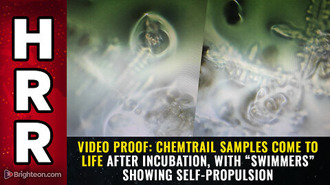 VIDEO PROOF- Chemtrail samples COME TO LIFE after incubation...