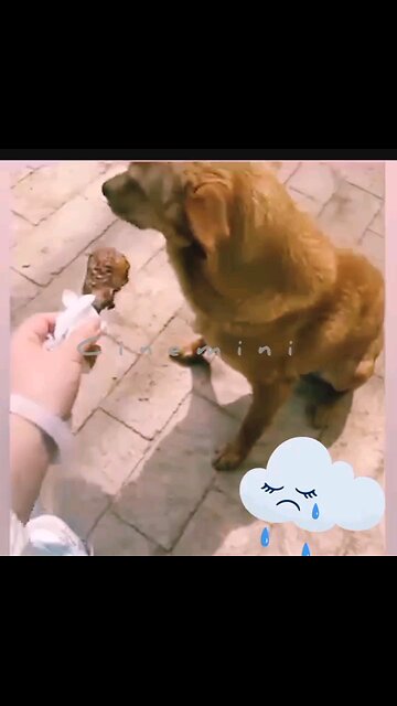 NEWSMAX2 LIVE | Real News for Real People? 🎉Happy birthday everyone🌞