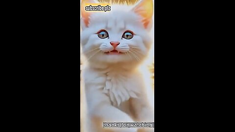 Cat dancing