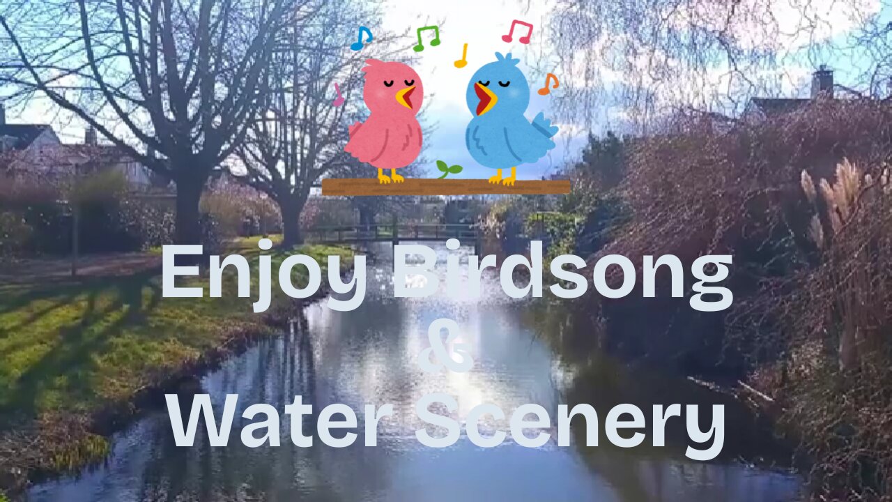 3h Soothing Birdsong for Deep Relaxation, Sleep Enhancement and Stress Relief