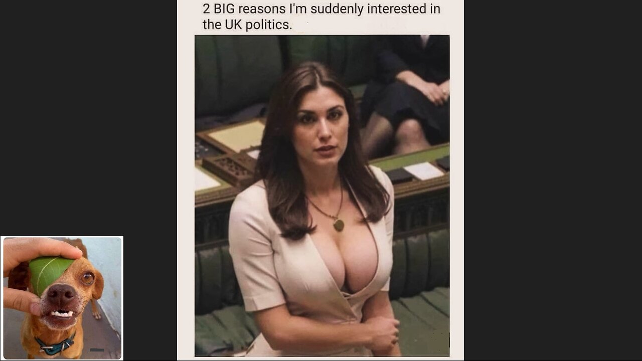 Meme compilation Episodes 596-600.