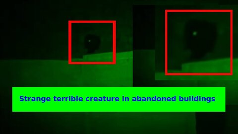 Strange creature got into the frame of a video in the abandoned