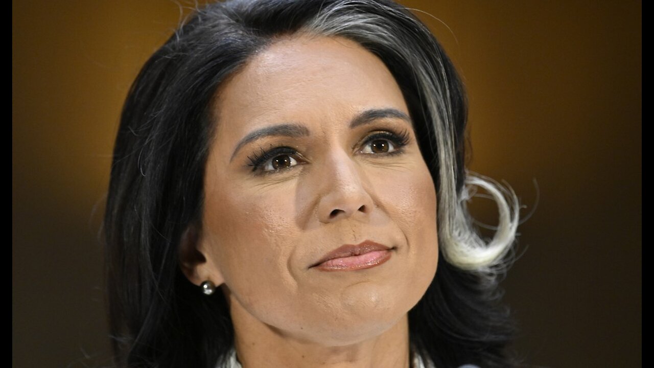 Tulsi Gabbard Destroys Washington Post and Its Reporter Over Insane Tactics