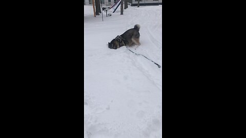 Tuesday December 16, “Master” Simon Replied.