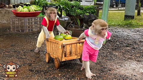 YiYi and YinYin go to the market to buy pumpkin to make cakes