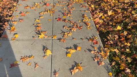 Fall #usa # California #slowliving