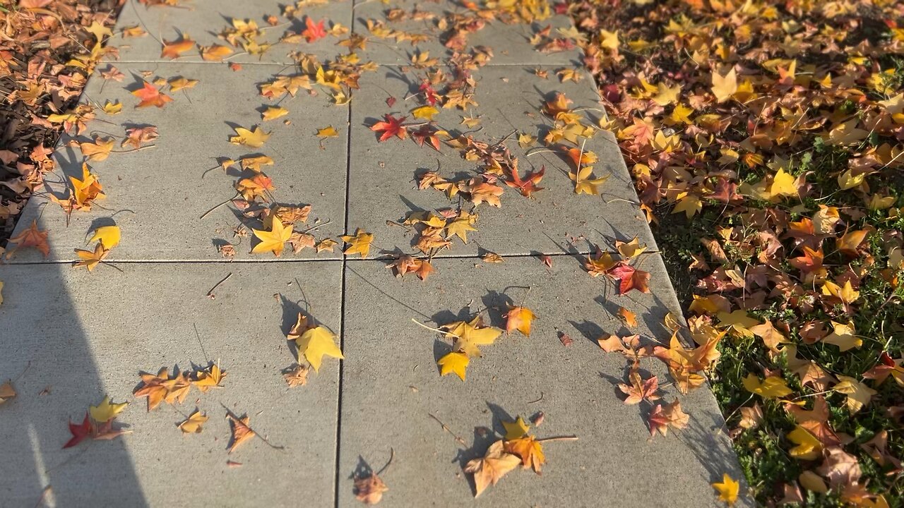 Fall #usa # California #slowliving