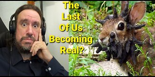 Mutant Rabbits UNLEASHED by Virus: ‘The Last of Us’ Nightmare Comes to Life!