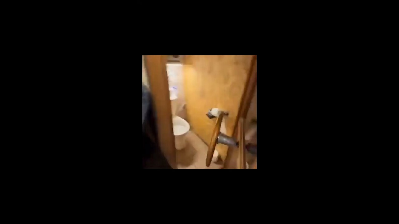 time to go back to taco bel