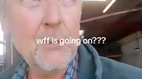 No bees no insects and crops are refusing to grow...