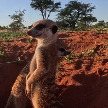 😊 174 EL UNIVERSO NO ENTIENDE DE ‘NO PUEDO’ 😊