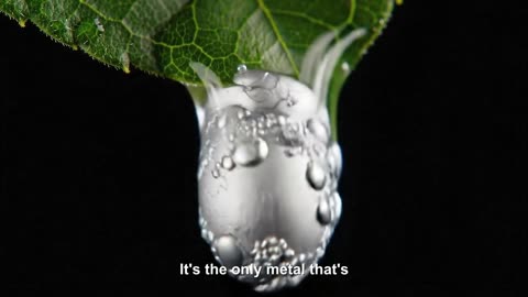 Mind-Bending Visual Tricks