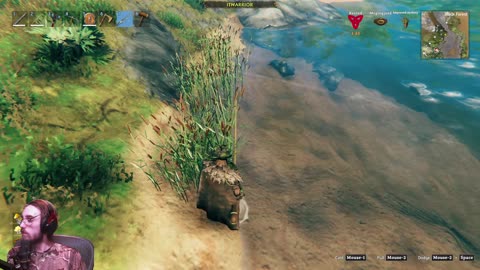 Another Valheim Day