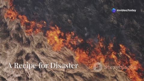 Texas Wildfires: A Fiery March 2025 Update 