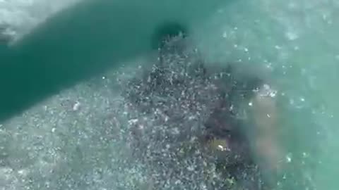 Shocking: Man Swim in Extreme Cold Water || WooGlobe