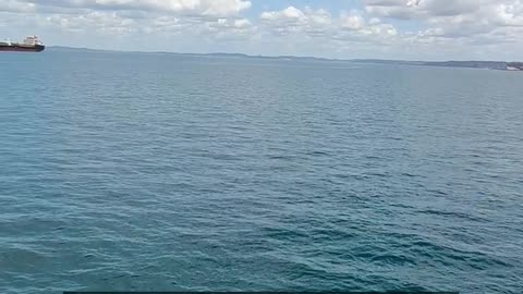 Daily Horoscope | Cancer 🌟