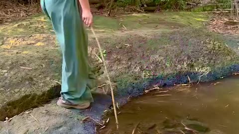 Spiky fruits don't stand a chance against this safe method 😲