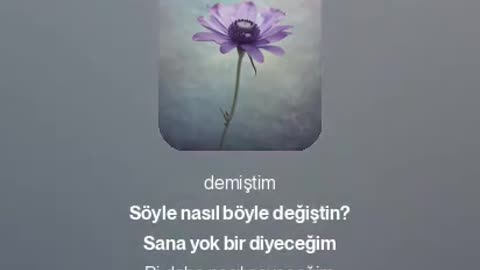 Bir yanım git diyor bir yanım kal