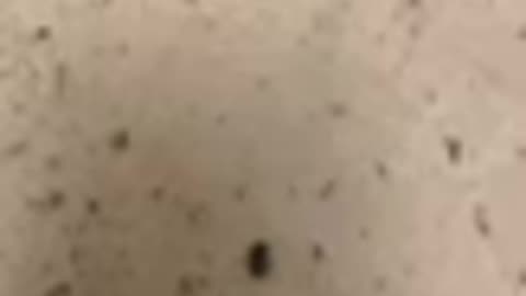 Collage Sucked Ass Storytime rant blackpill (REUPLOAD)