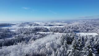 Wilderness Communion